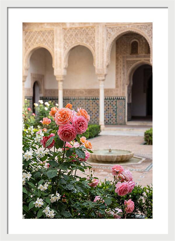 Alhambra Courtyard Serenity