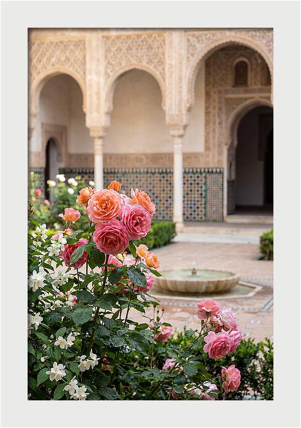Alhambra Courtyard Serenity