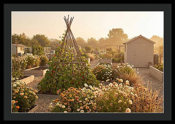 Allotment Garden Serenity