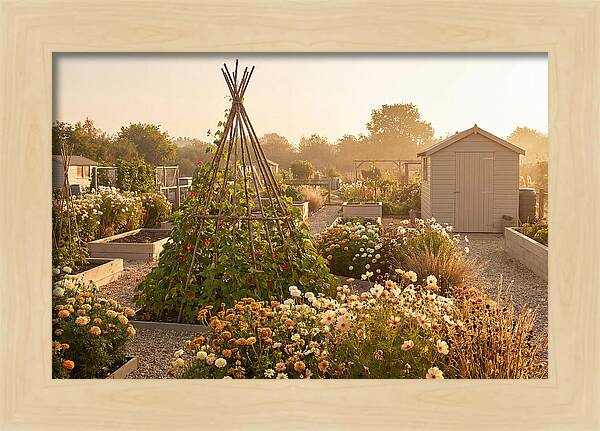 Allotment Garden Serenity