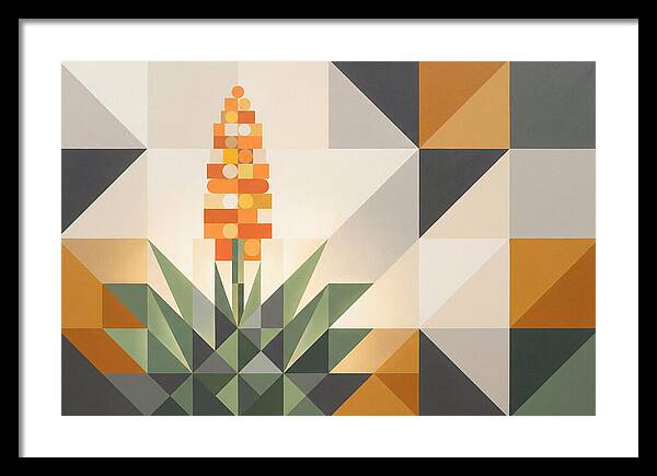 Aloe Plant In Geometric Harmony