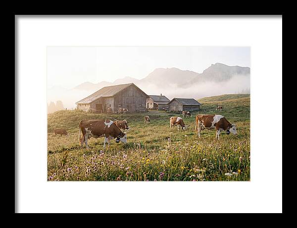 Alpine Dairy Serenity