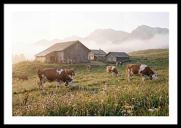 Morning Mist Art