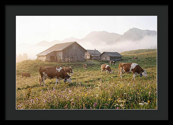 Alpine Dairy Serenity