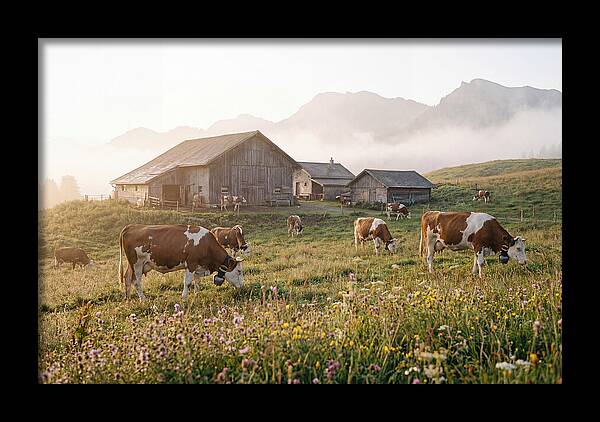 Alpine Dairy Serenity