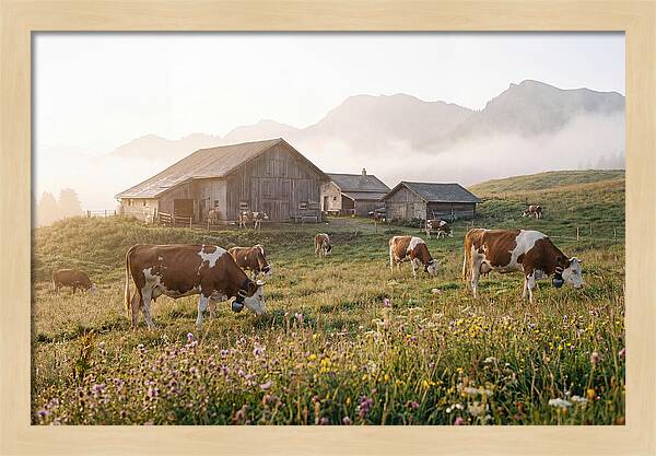 Alpine Dairy Serenity