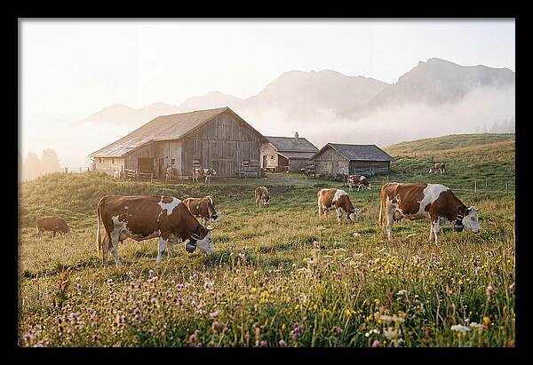 Alpine Dairy Serenity
