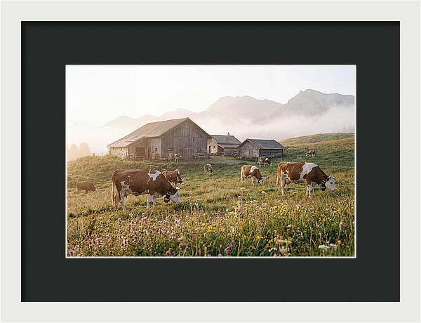 Alpine Dairy Serenity