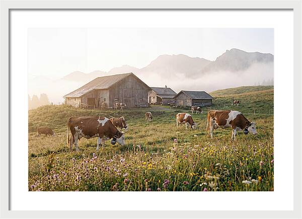 Alpine Dairy Serenity
