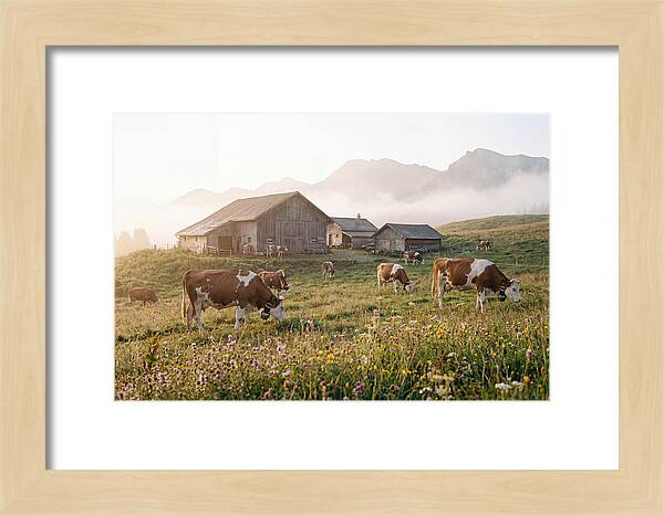 Alpine Dairy Serenity