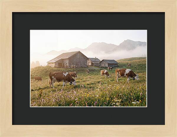 Alpine Dairy Serenity