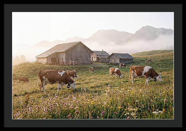 Alpine Dairy Serenity