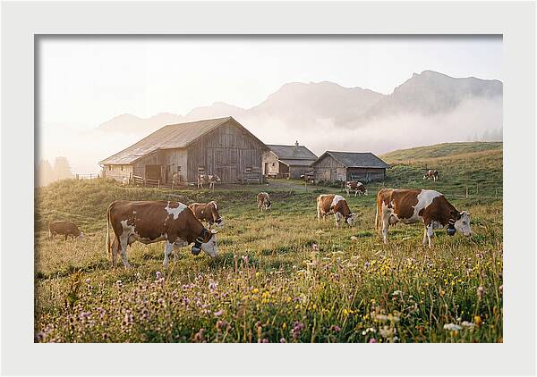 Alpine Dairy Serenity
