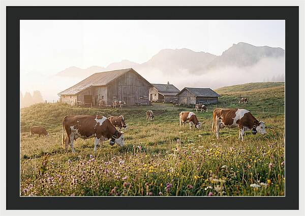 Alpine Dairy Serenity