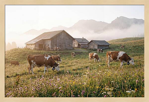 Alpine Dairy Serenity