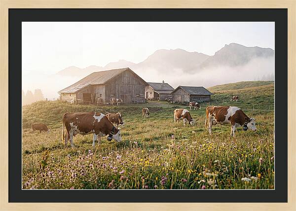 Alpine Dairy Serenity