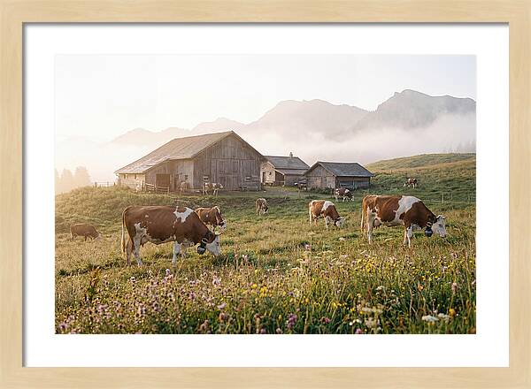 Alpine Dairy Serenity