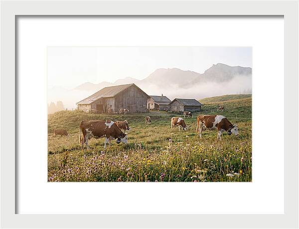 Alpine Dairy Serenity
