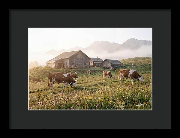 Alpine Dairy Serenity