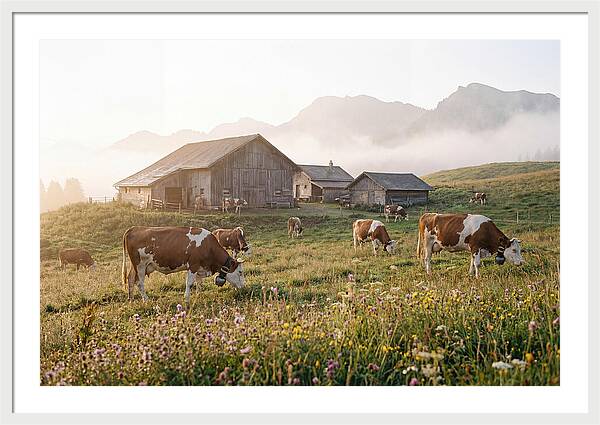 Alpine Dairy Serenity