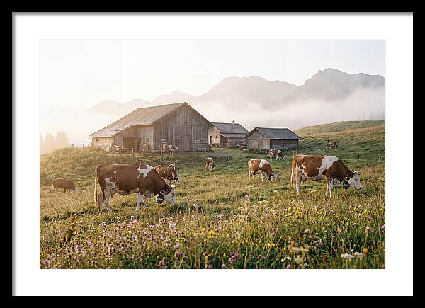 Alpine Dairy Serenity