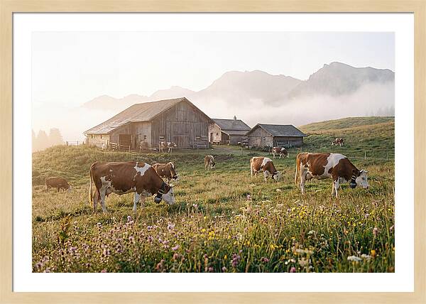 Alpine Dairy Serenity
