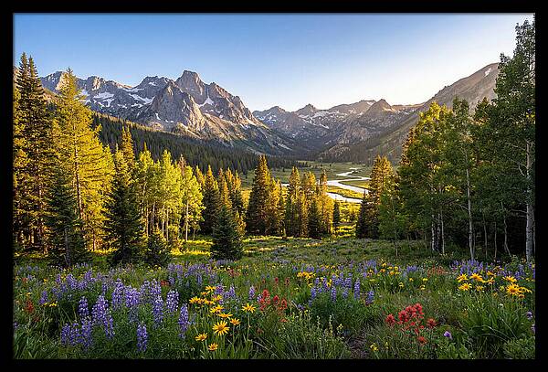 Alpine Loop Mountain Vista