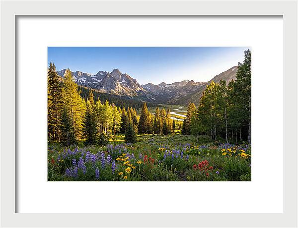 Alpine Loop Mountain Vista