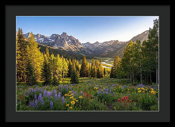 Alpine Loop Mountain Vista