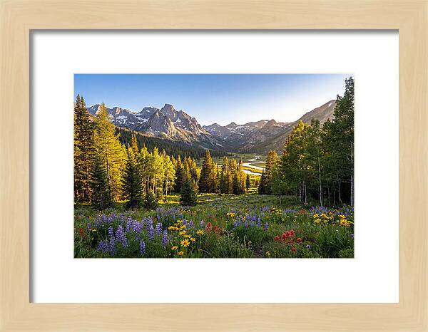 Alpine Loop Mountain Vista