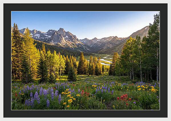 Alpine Loop Mountain Vista