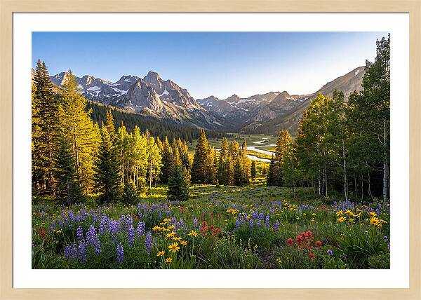 Alpine Loop Mountain Vista