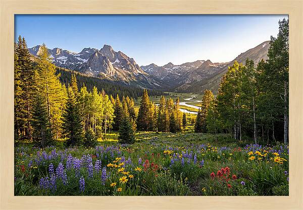 Alpine Loop Mountain Vista