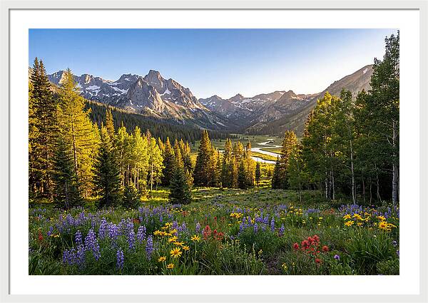 Alpine Loop Mountain Vista