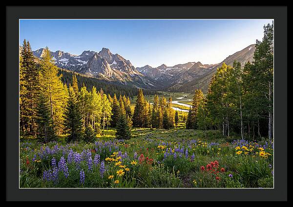 Alpine Loop Mountain Vista