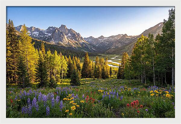 Alpine Loop Mountain Vista