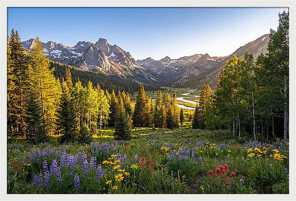 Alpine Loop Mountain Vista