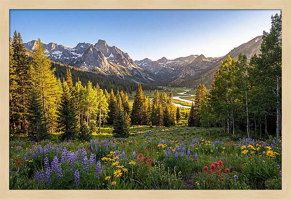 Alpine Loop Mountain Vista