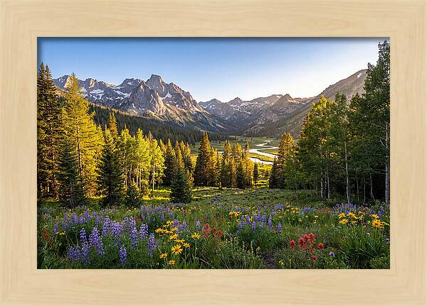 Alpine Loop Mountain Vista