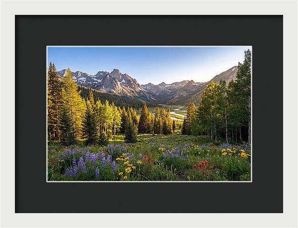 Alpine Loop Mountain Vista