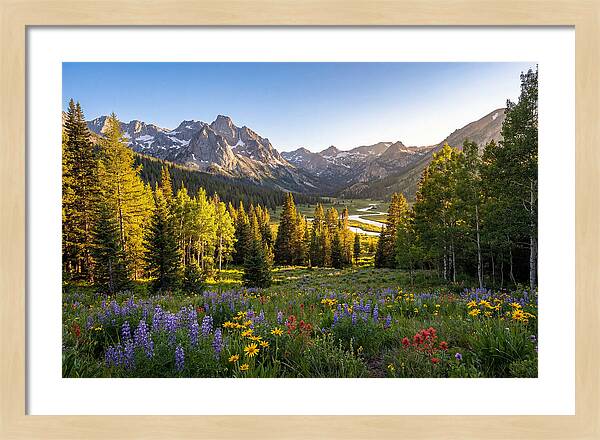 Alpine Loop Mountain Vista