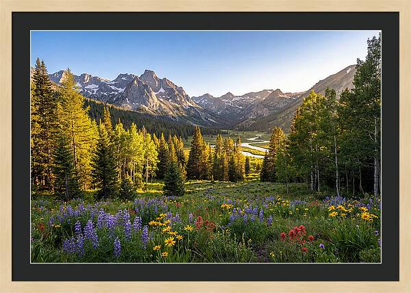 Alpine Loop Mountain Vista