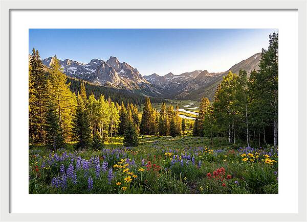 Alpine Loop Mountain Vista