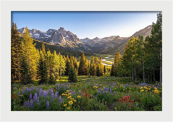 Alpine Loop Mountain Vista
