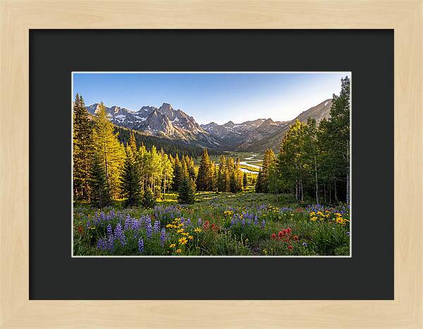 Alpine Loop Mountain Vista