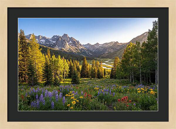 Alpine Loop Mountain Vista