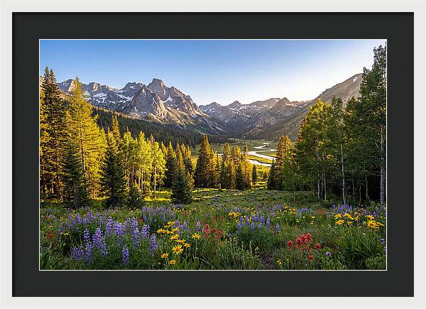 Alpine Loop Mountain Vista