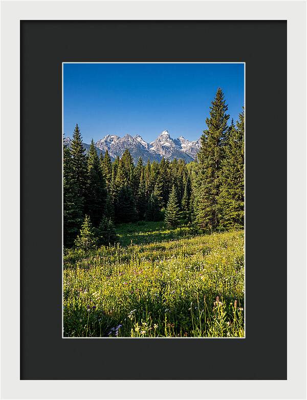 Alpine Meadow Serenity