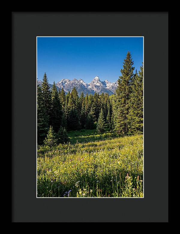 Alpine Meadow Serenity