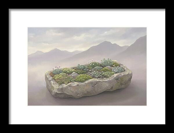 Alpine Trough Garden Serenity